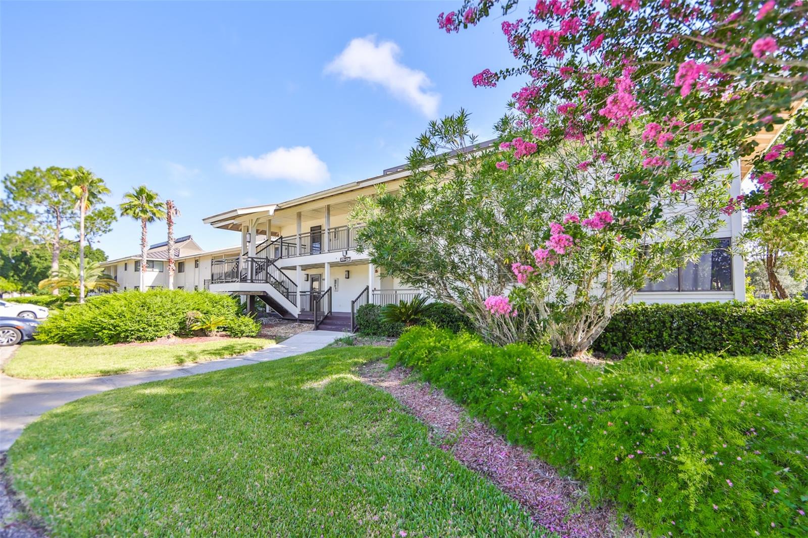 29129 S Bay Hollow Dr S #3213, Wesley Chapel