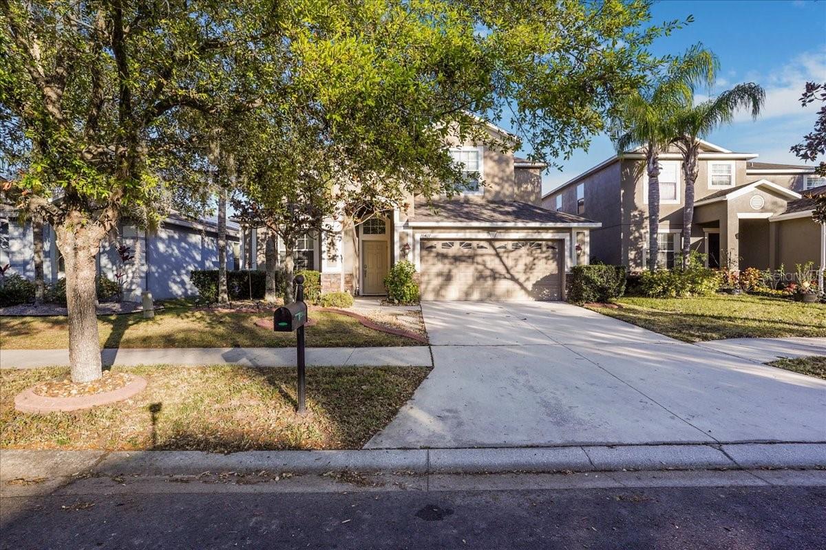 20427 Carolina Cherry Ct, Tampa
