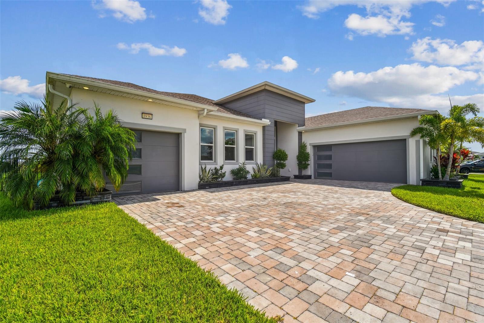 8936 Sanders Tree Loop, Wesley Chapel