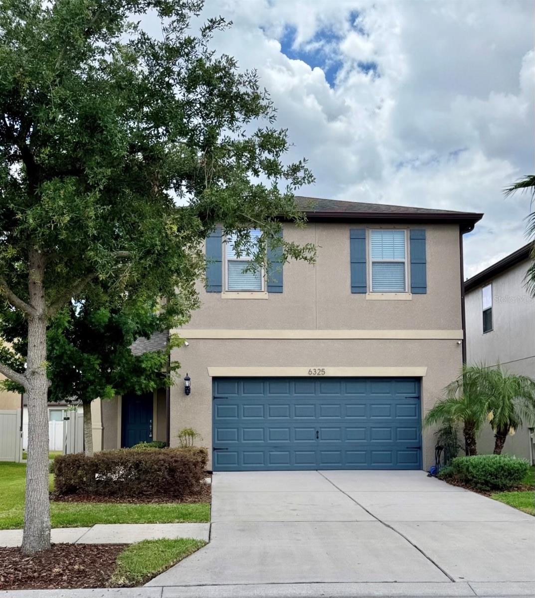 6325 Yellow Buckeye Dr, Riverview