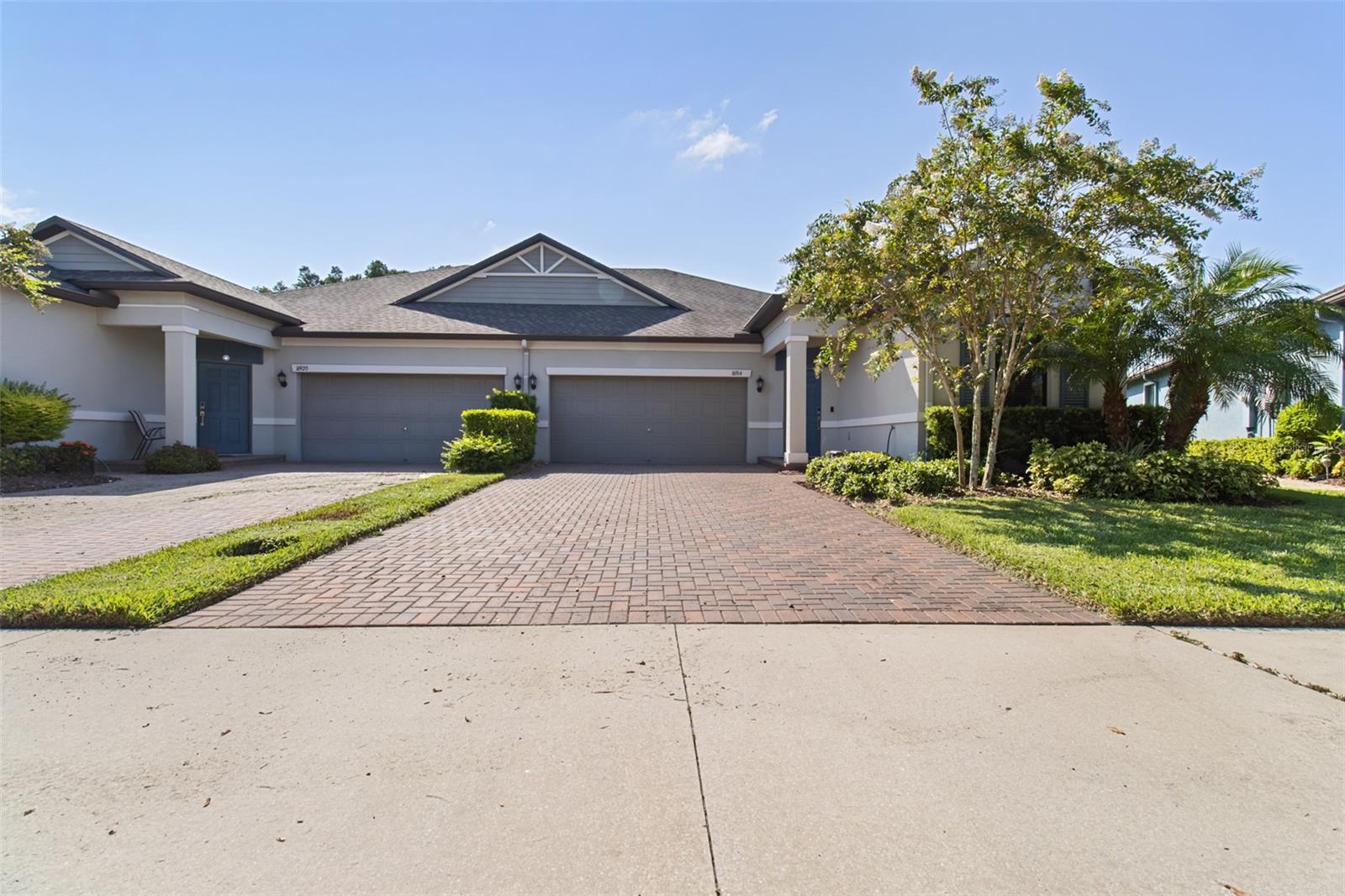 16914 Balance Cv, Land O Lakes