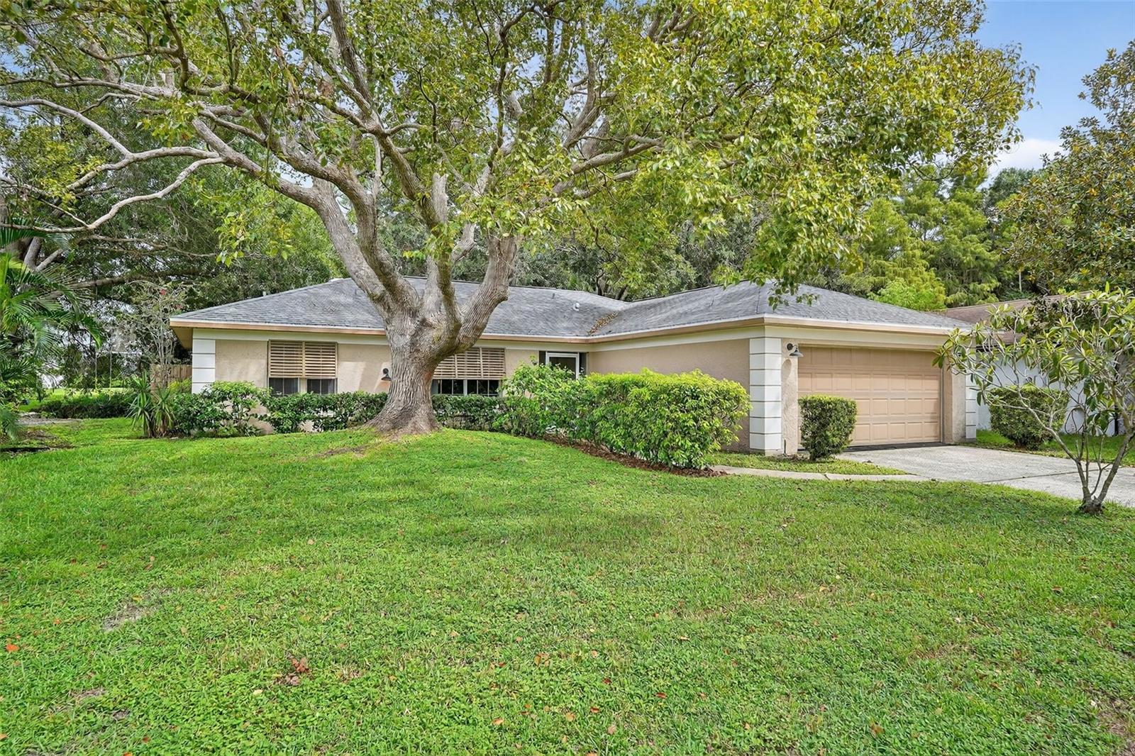 3602 Player Dr, New Port Richey