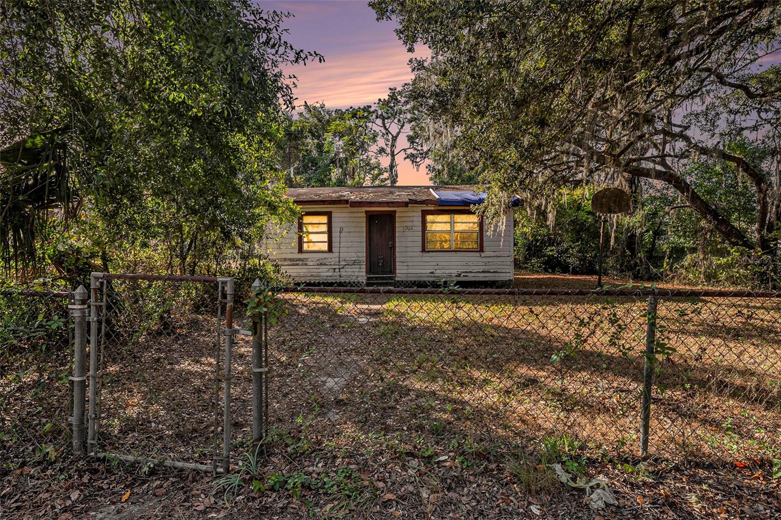 11720 Williams Rd, Thonotosassa