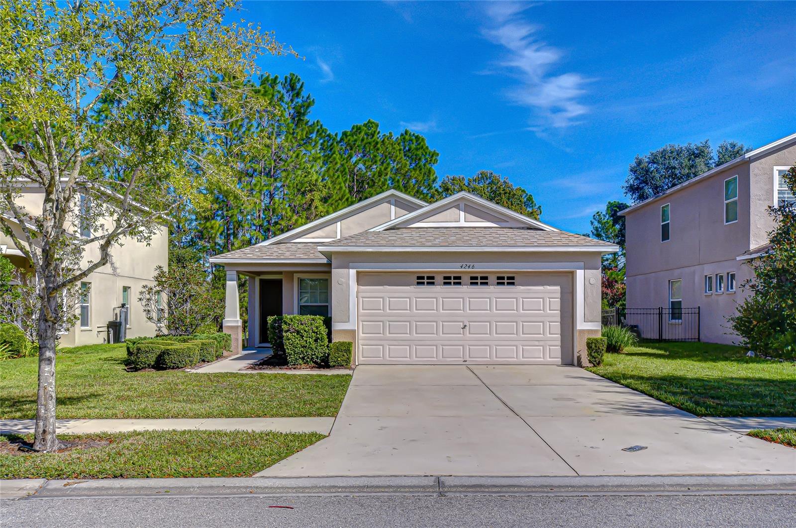 4246 Warwick Hills Dr, Wesley Chapel