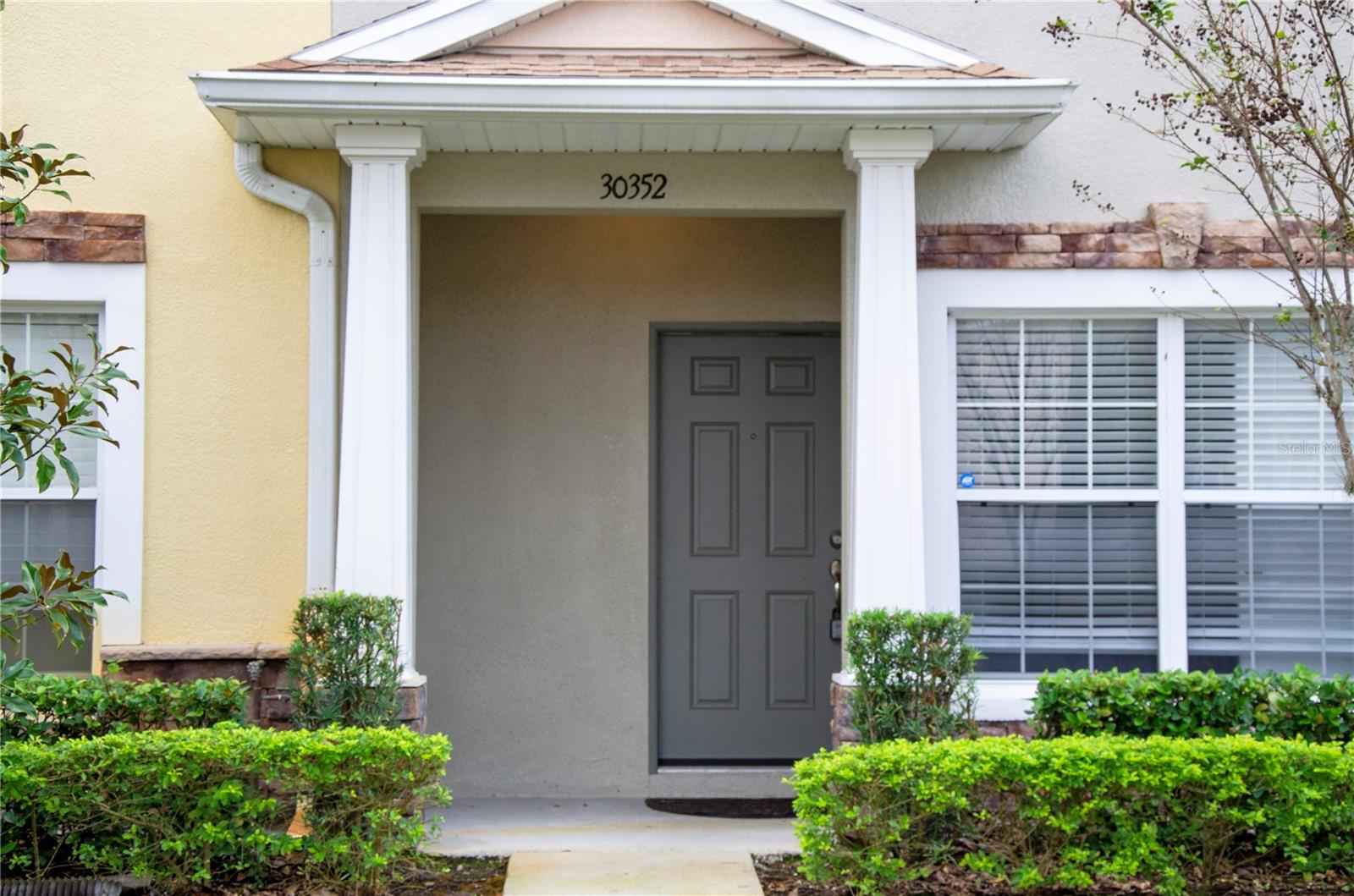 30352 Elderwood Dr, Wesley Chapel