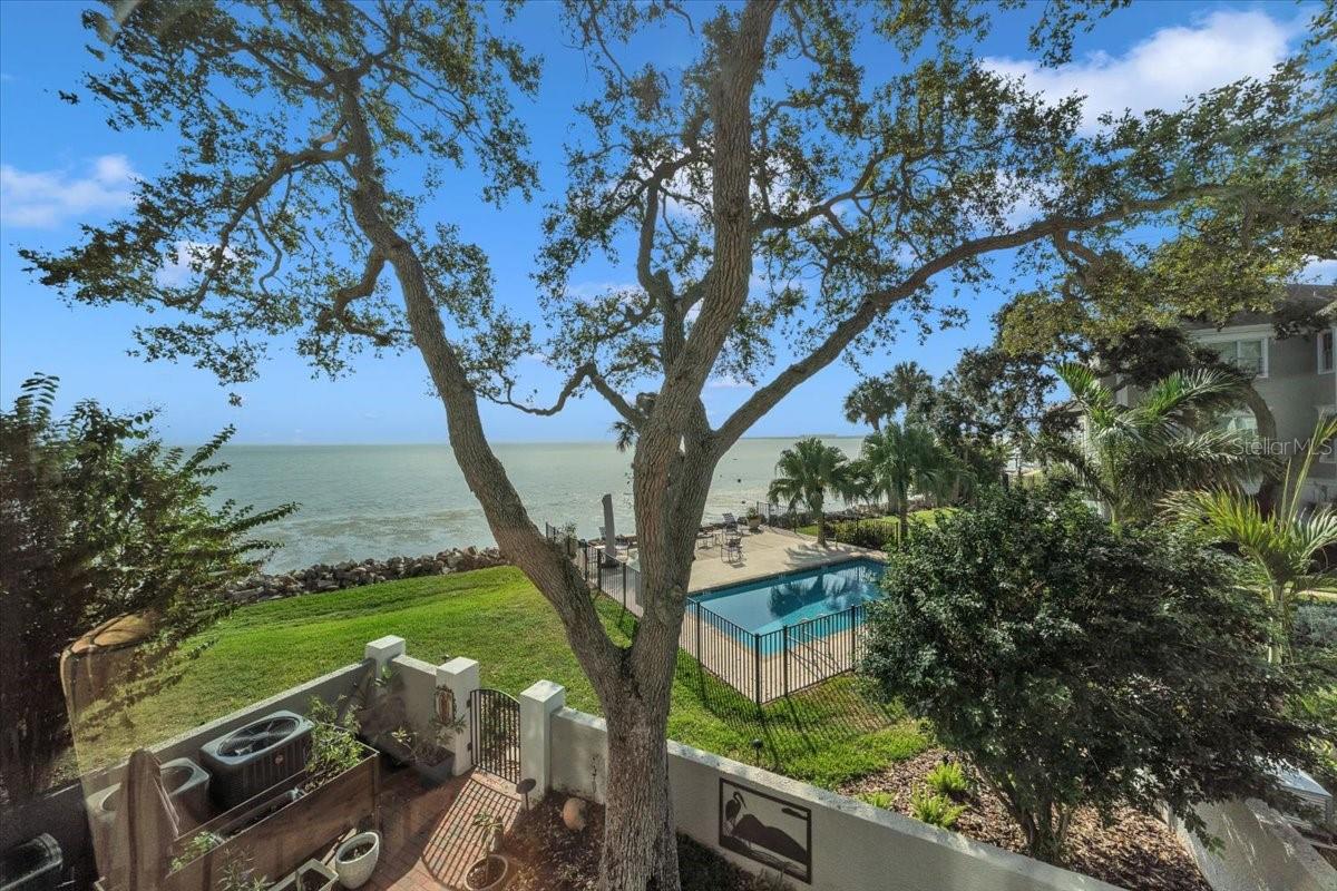 6212 Bayshore Blvd #k, Tampa