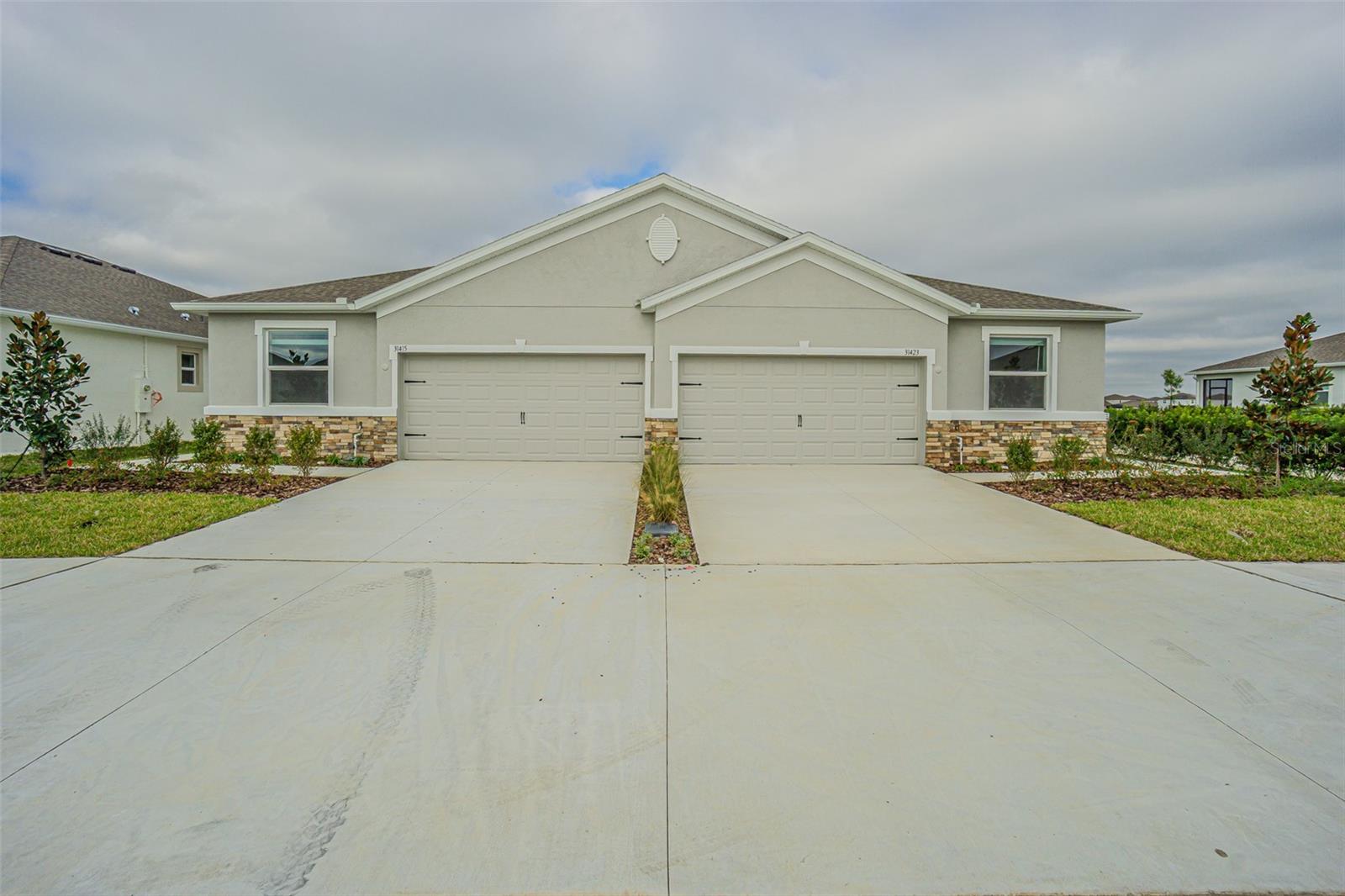 31415 Paper Birch St, Wesley Chapel