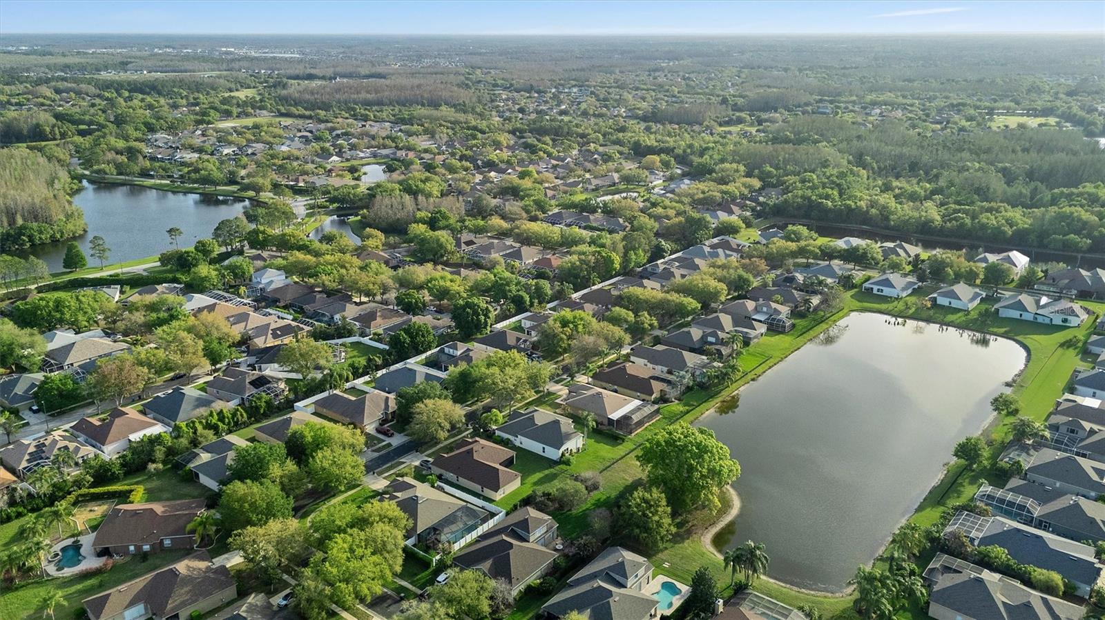 19111 Fern Meadow Loop, Lutz