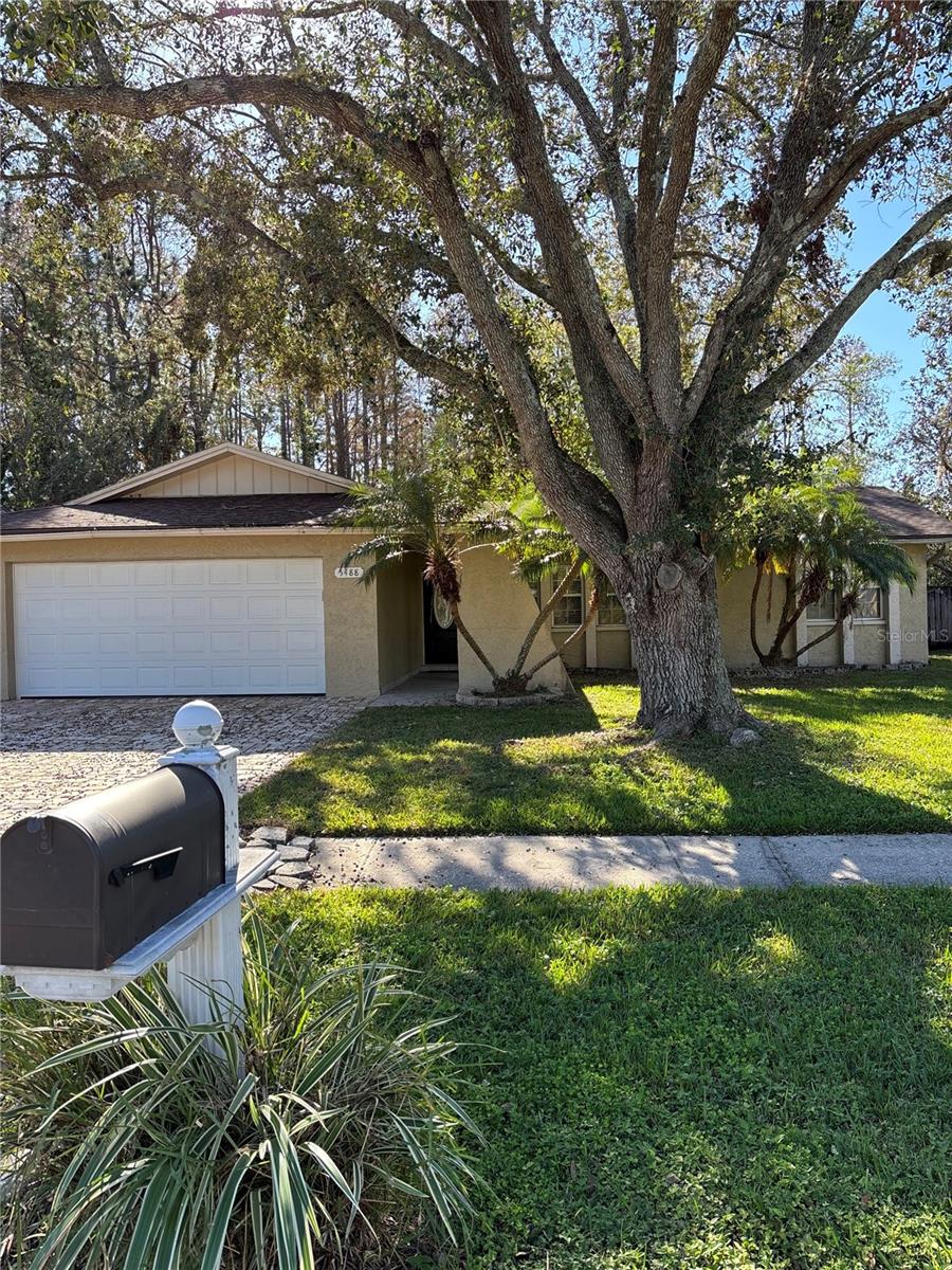 5488 Carrollwood Meadows Dr, Tampa