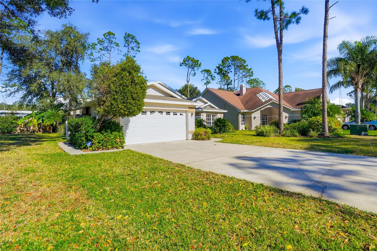 5712 Whitebark Dr, Wesley Chapel