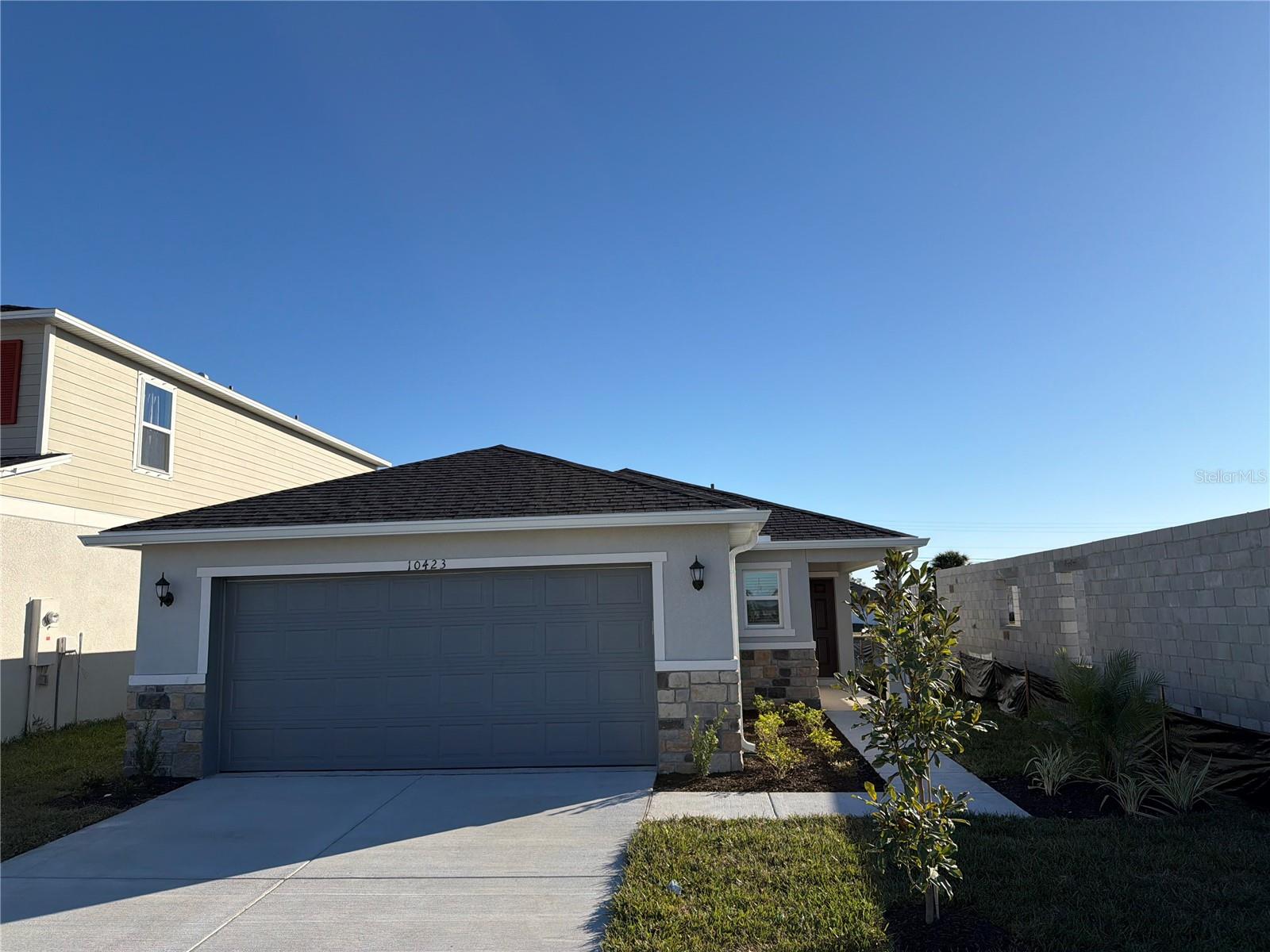 10423 Plumbago Ln, Riverview