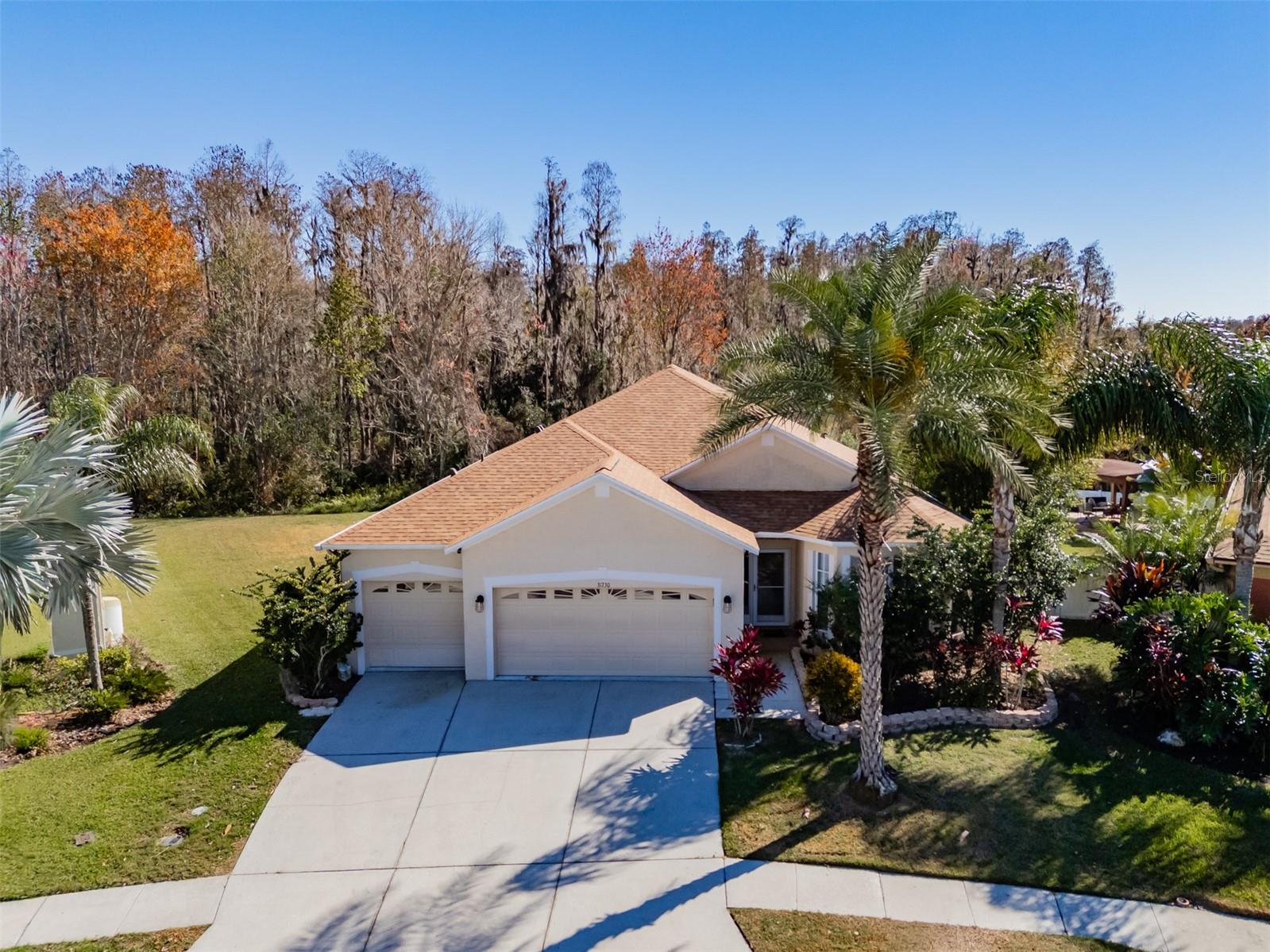 31230 Alchester Dr, Wesley Chapel