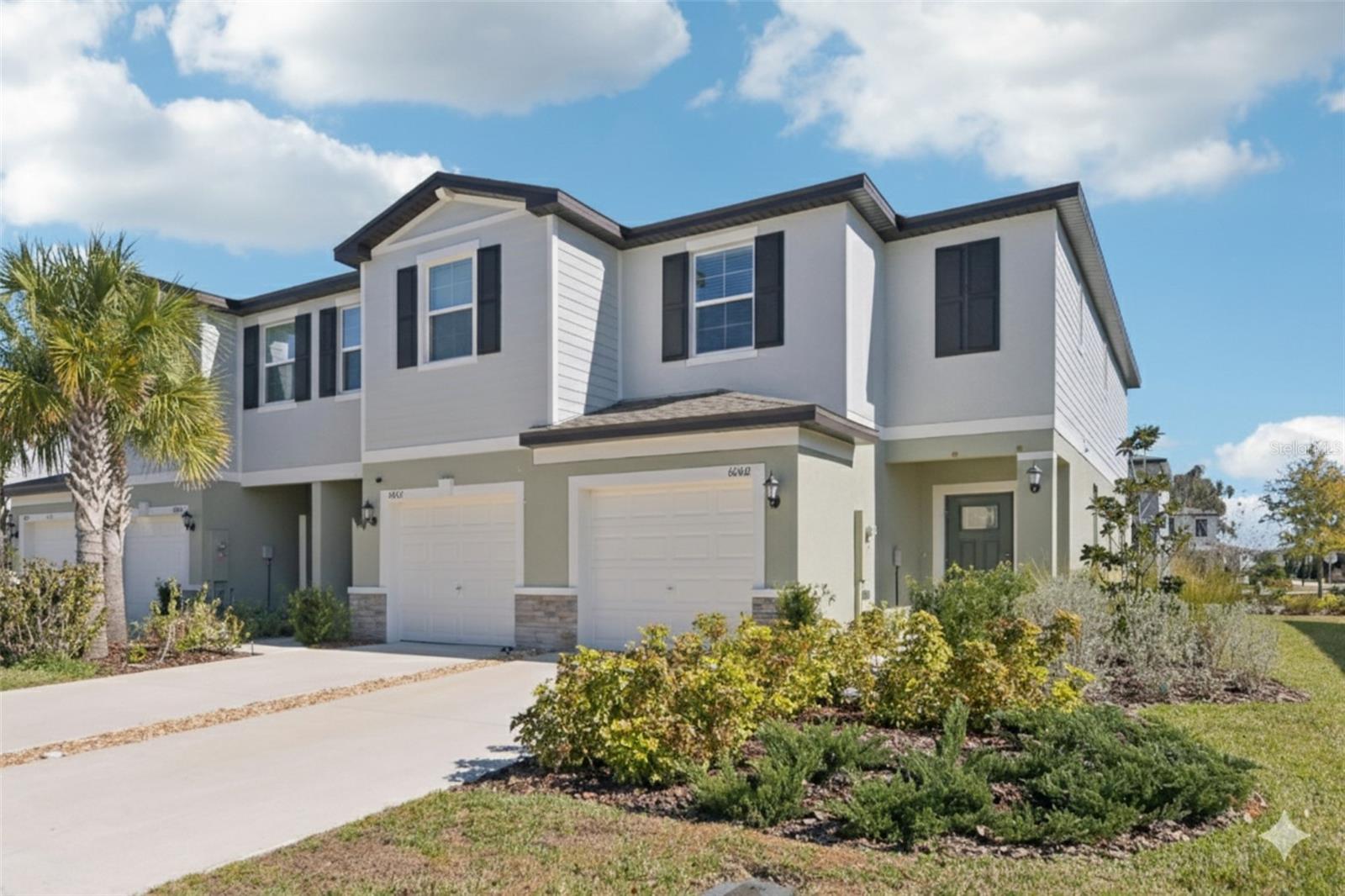 6060 Acara Ln, Land O Lakes