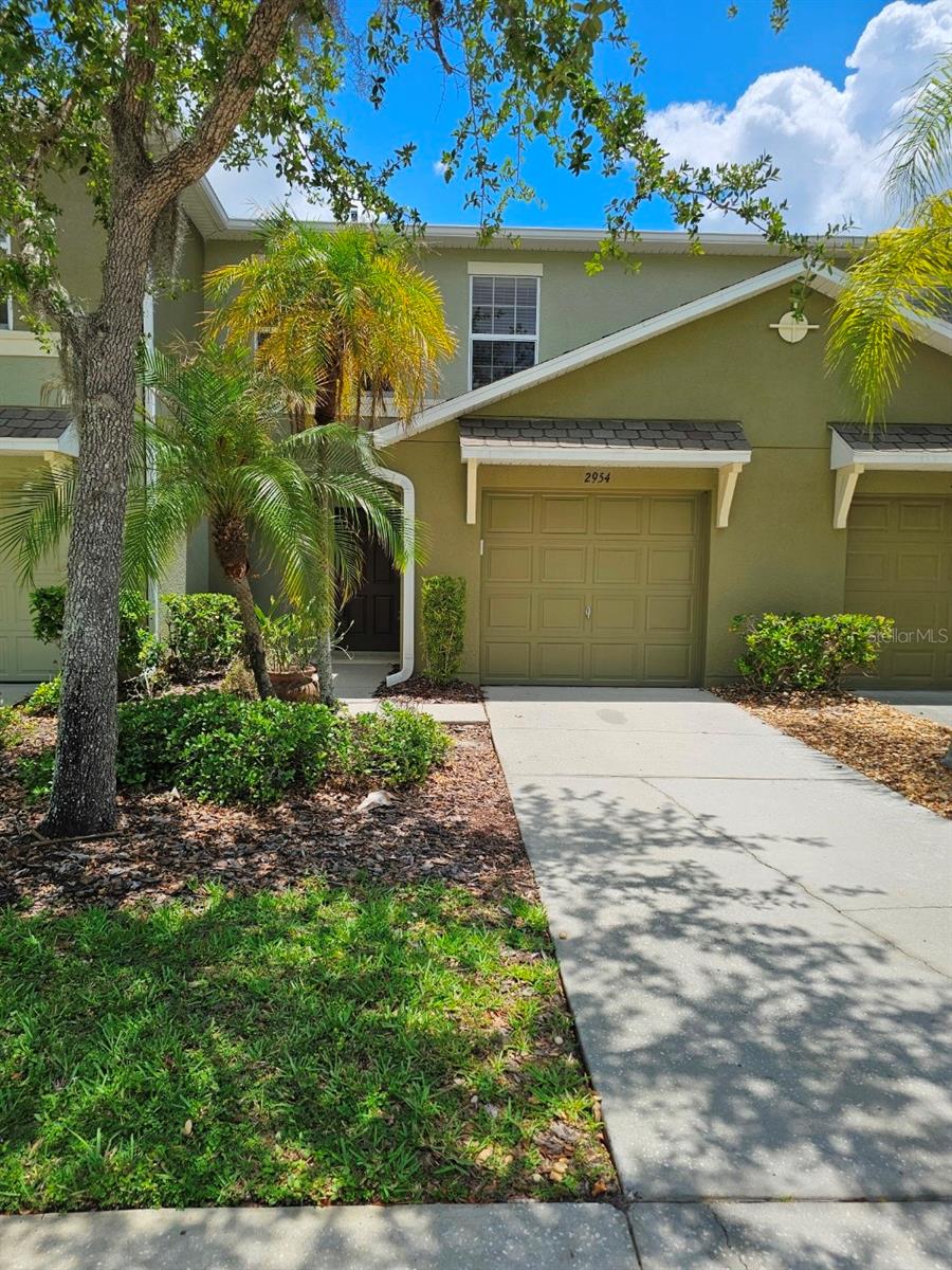 2954 Willowleaf Ln, Wesley Chapel