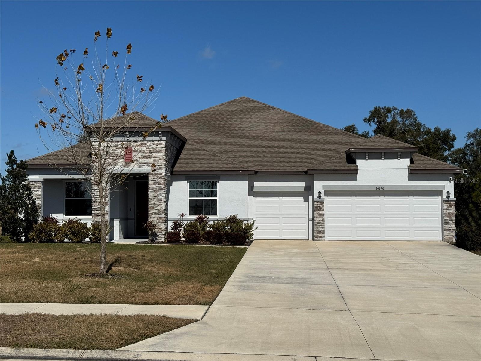 10190 Dolphin Gull Cir, Thonotosassa