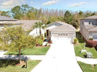 7833 Tuscany Woods Dr, Tampa