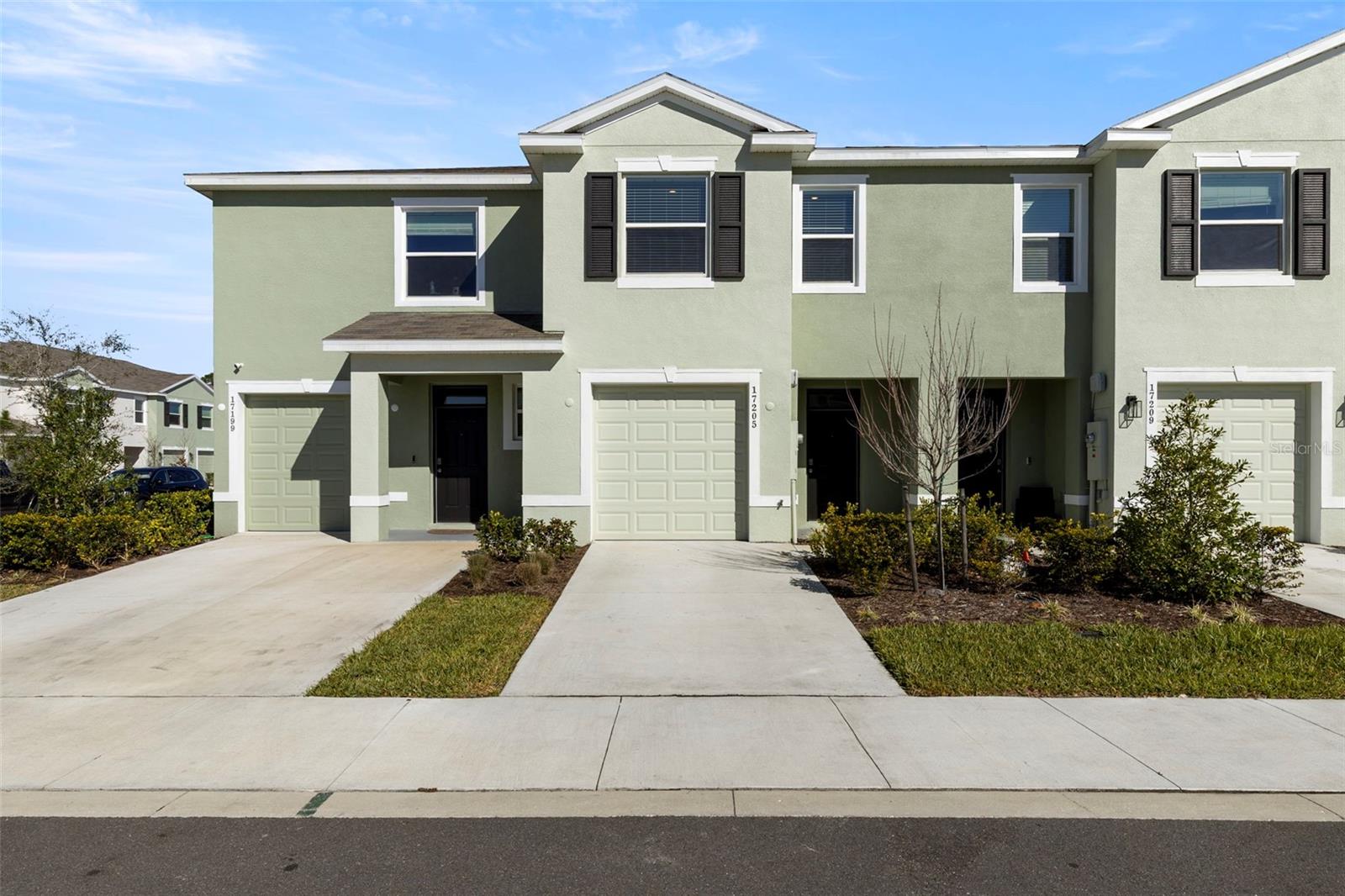 17205 Bigleaf Mahogany Ln, Land O Lakes