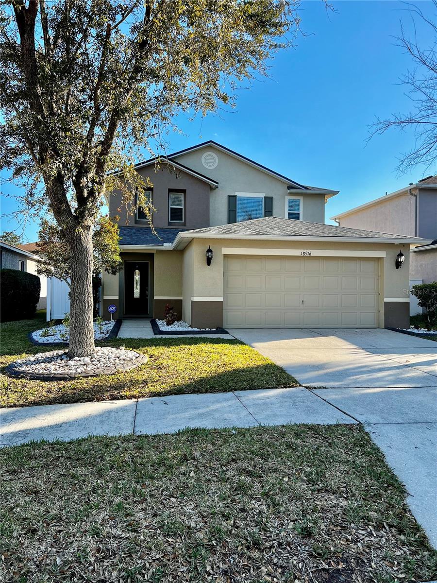 18916 Randall Pl, Land O Lakes