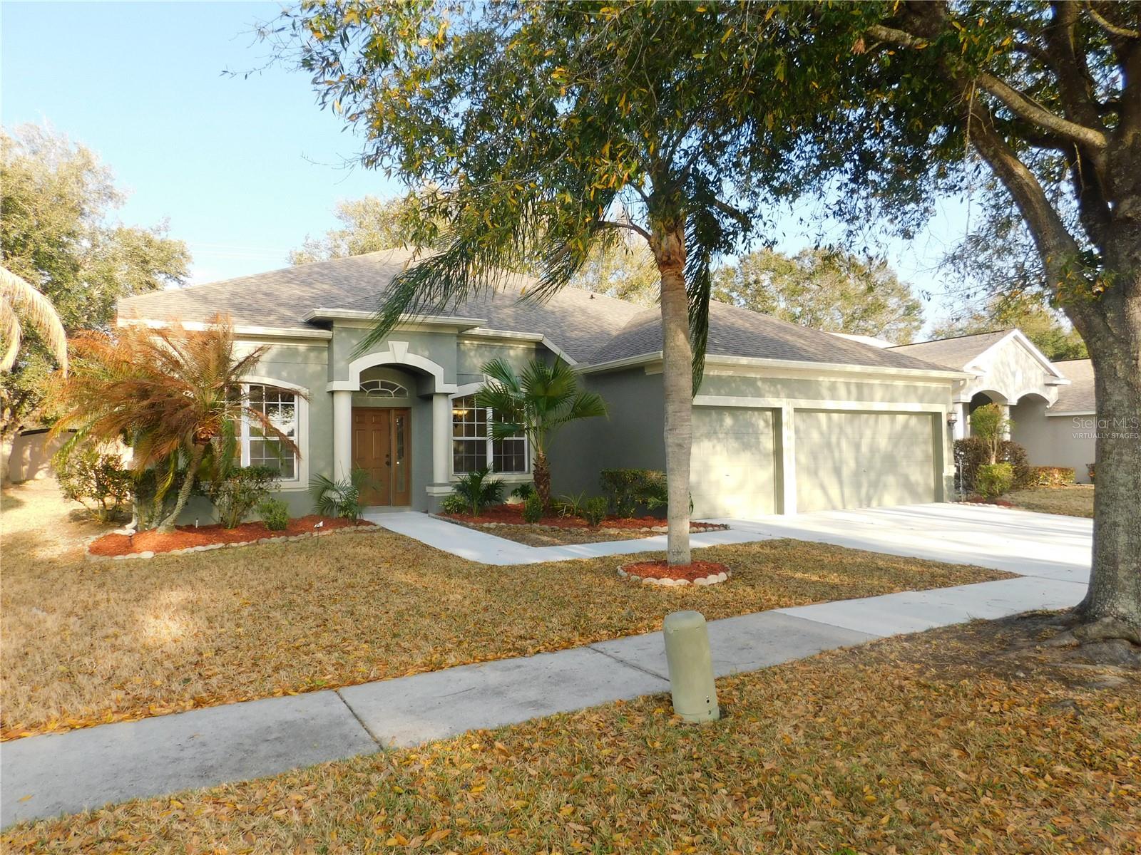 12902 Cattail Shore Ln, Riverview