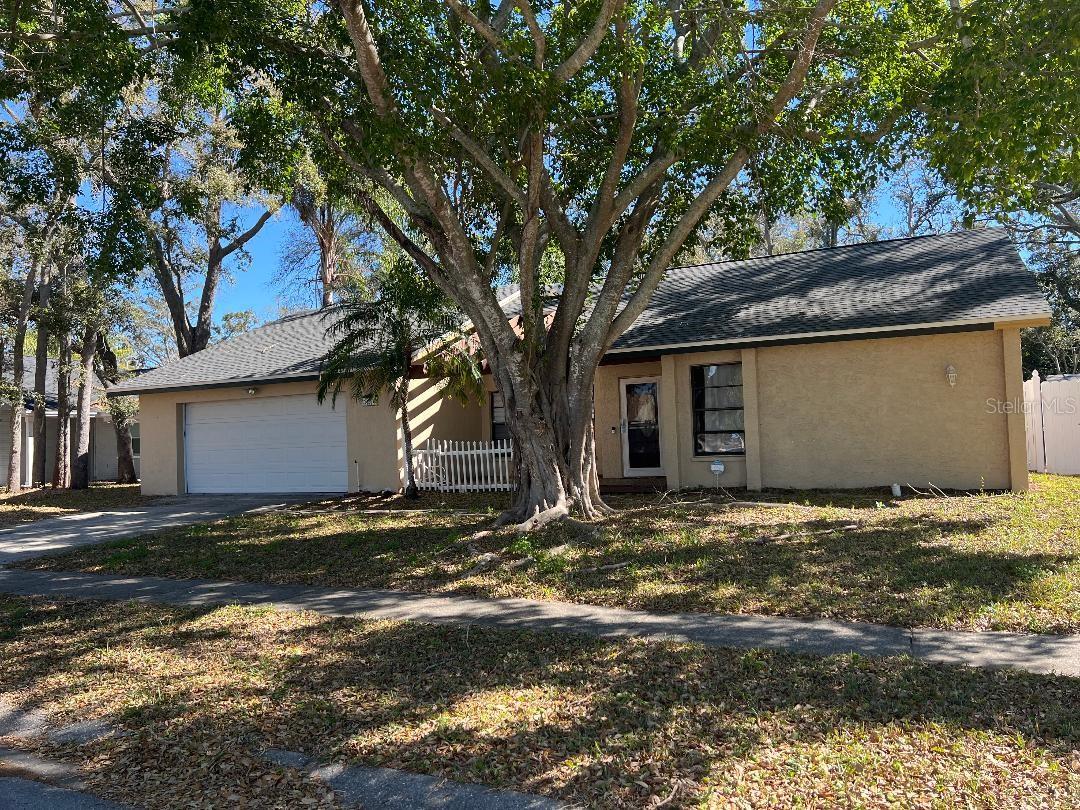 200 Arbor Dr W, Palm Harbor