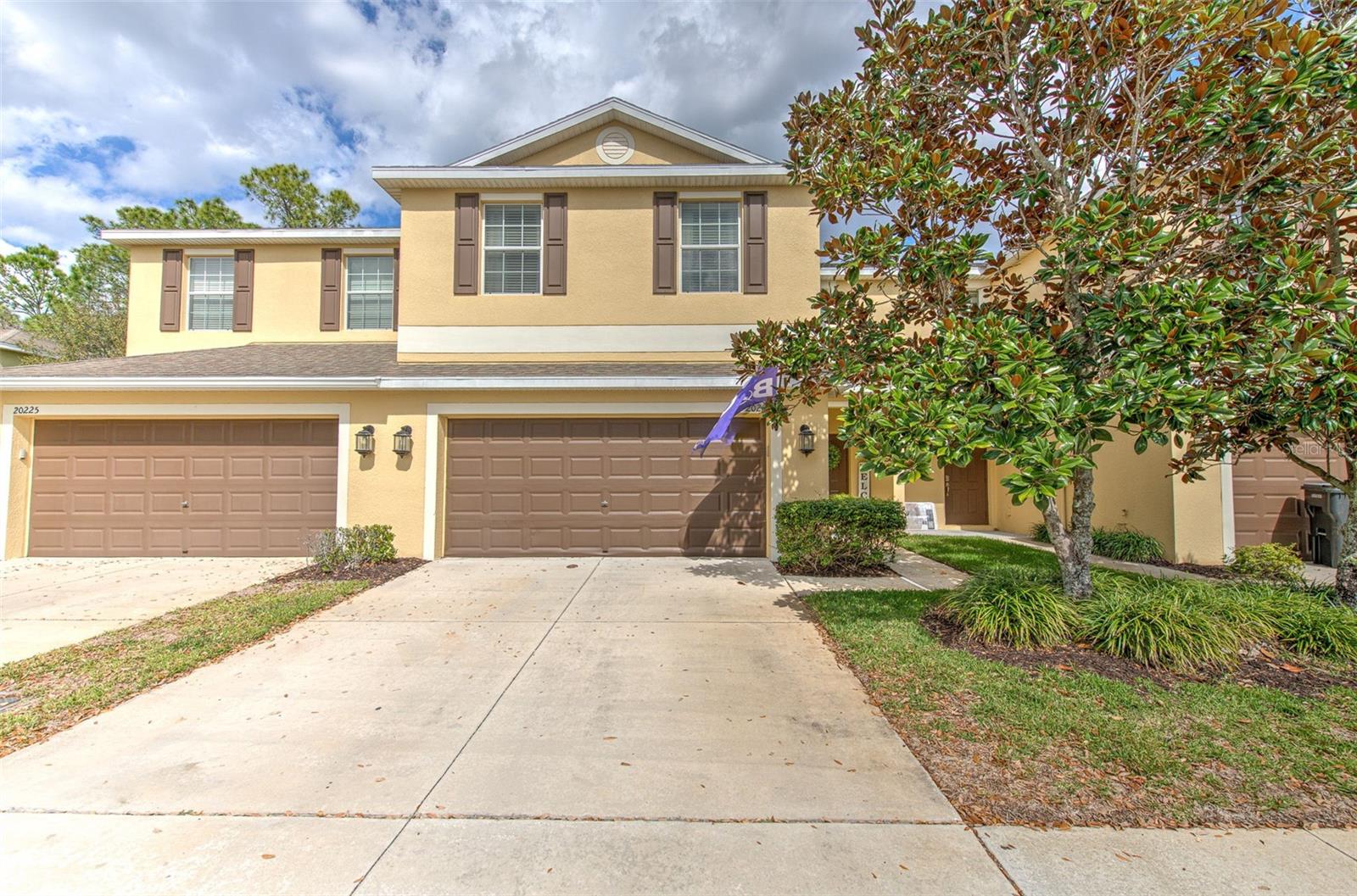 20223 Indian Rosewood Dr, Tampa