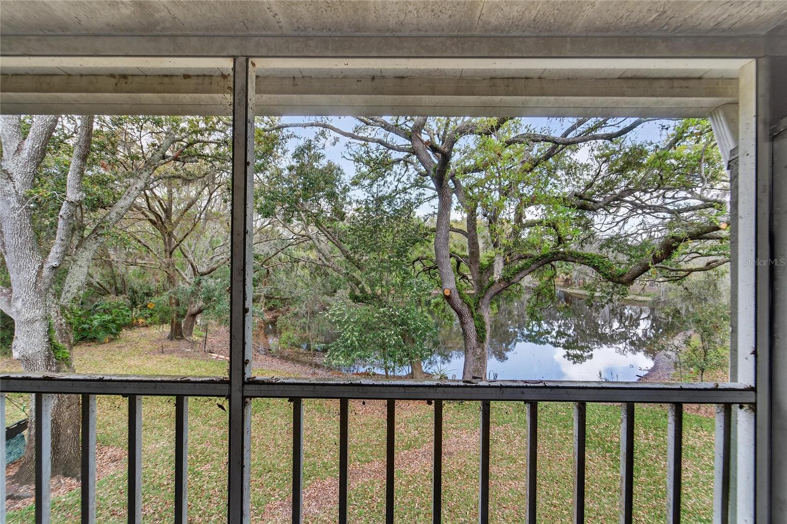11808 Skylake Pl #d, Temple Terrace