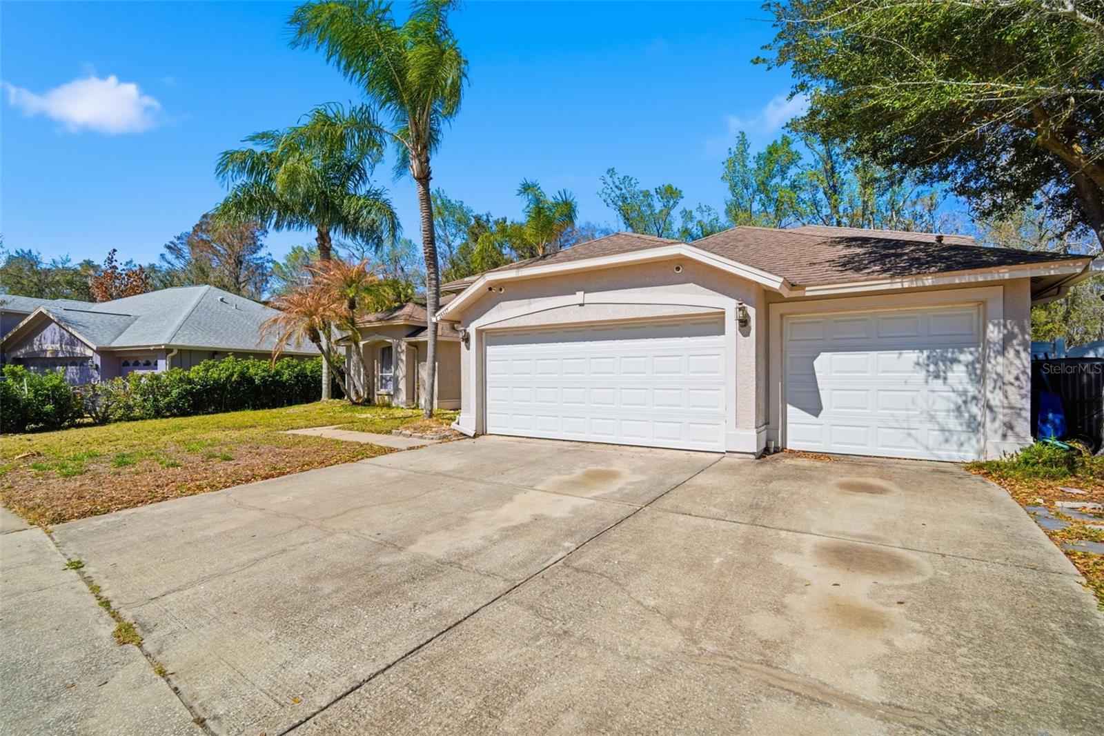 28427 Openfield Loop, Wesley Chapel