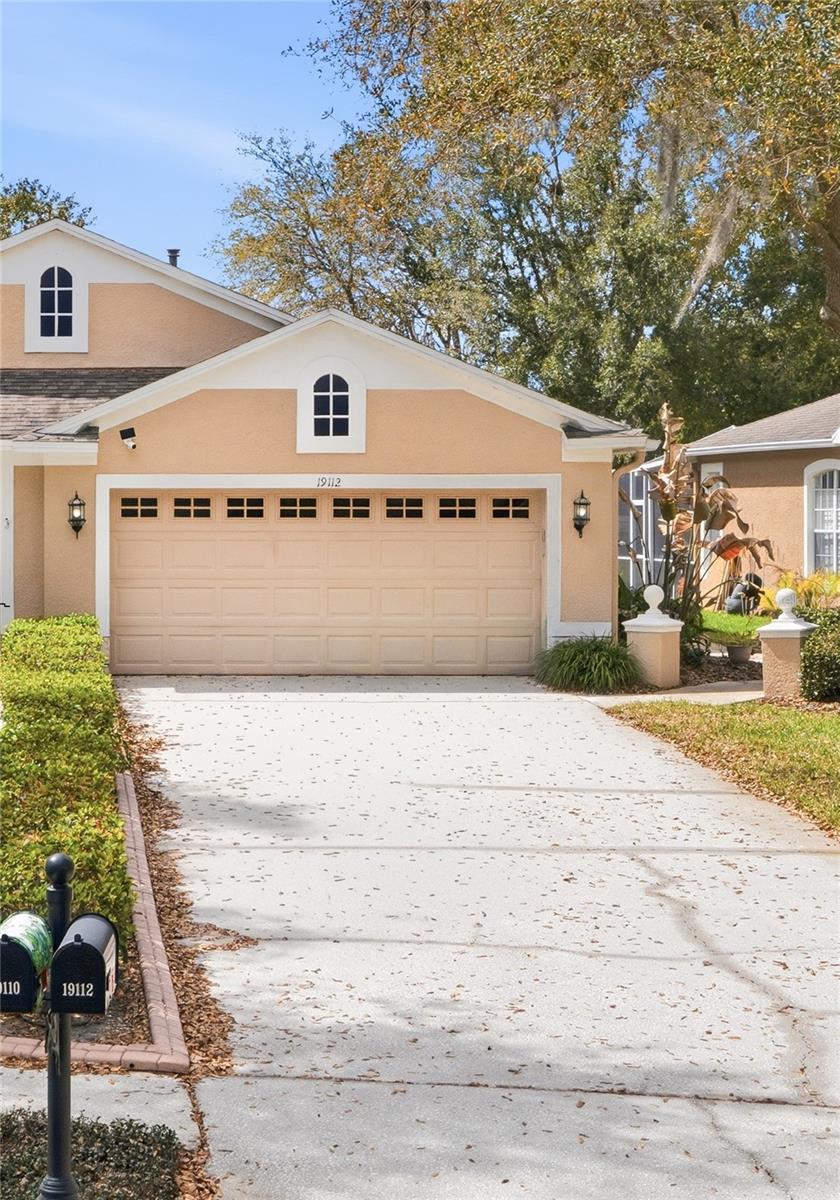 19112 White Wing Pl, Tampa