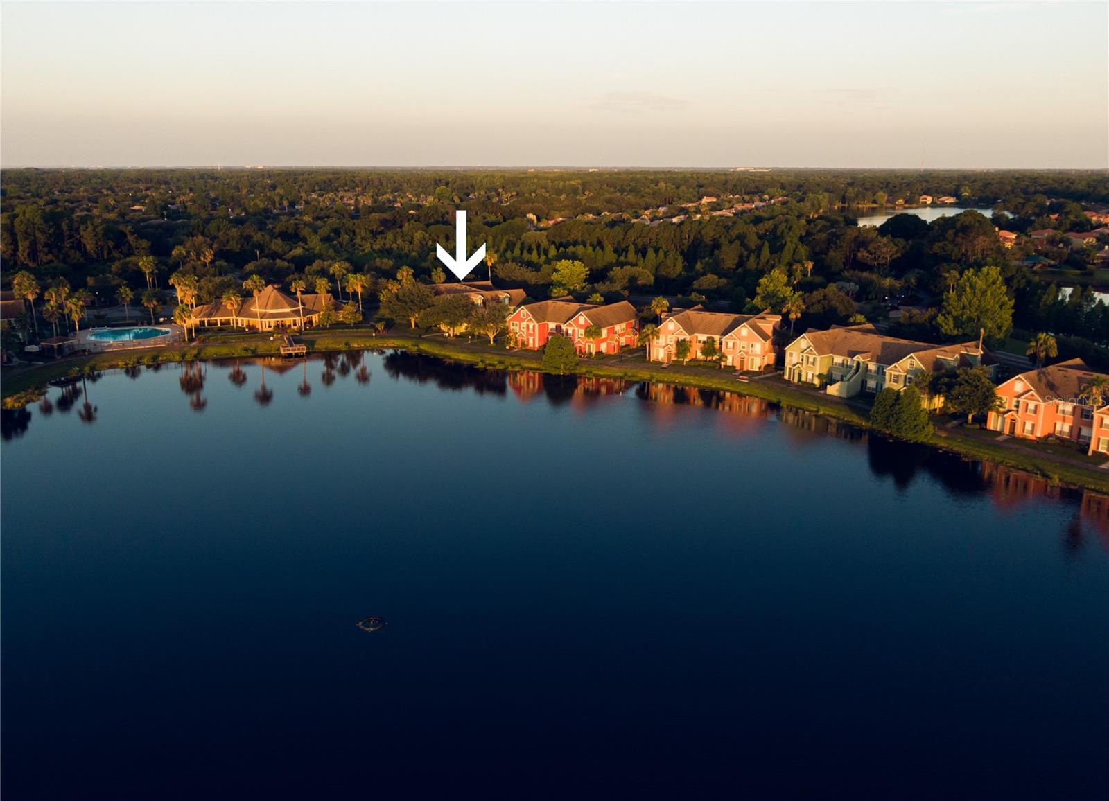 9412 Lake Chase Island Way #9412, Tampa