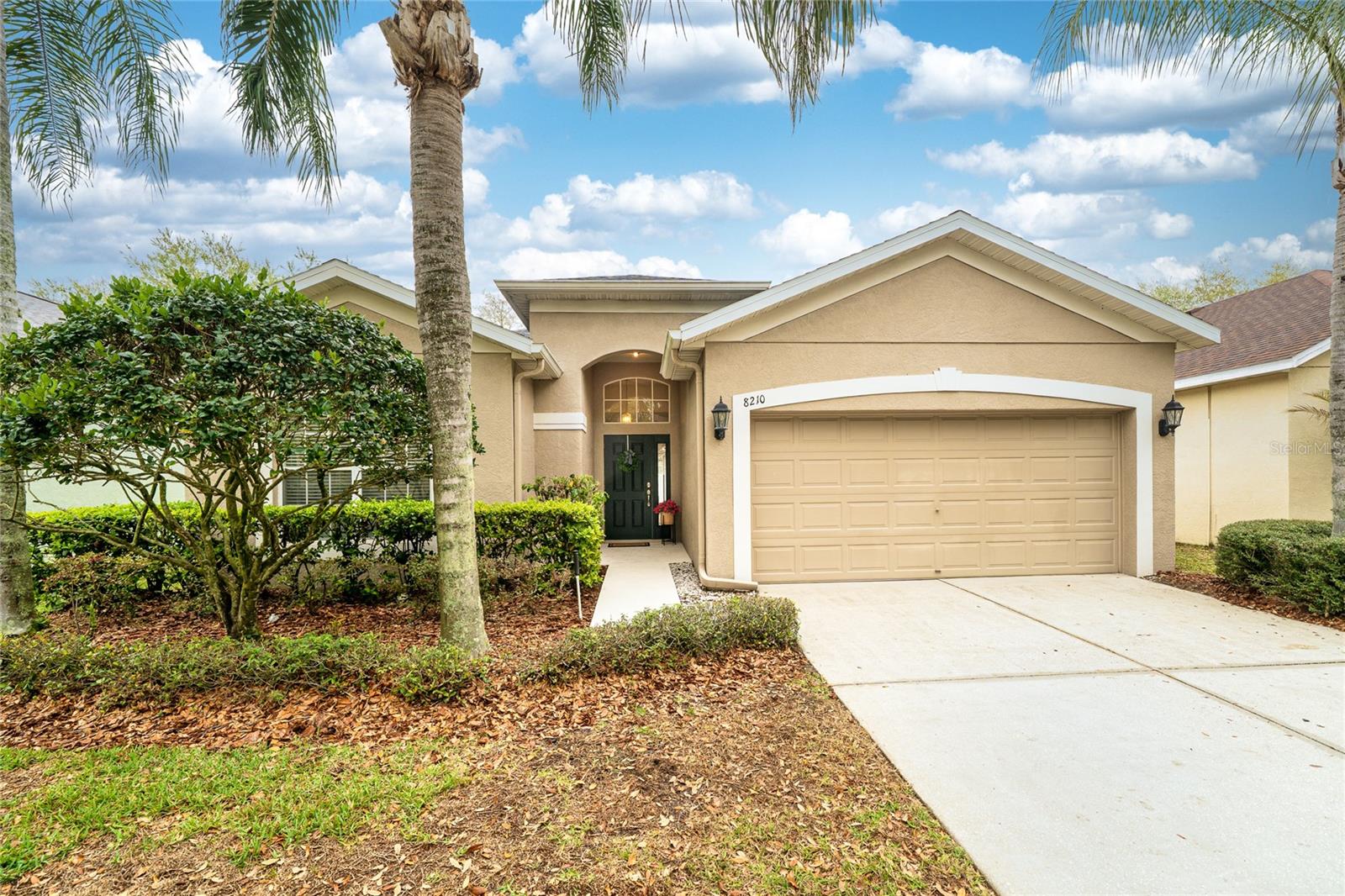 8210 Canary Canyon Way, Tampa