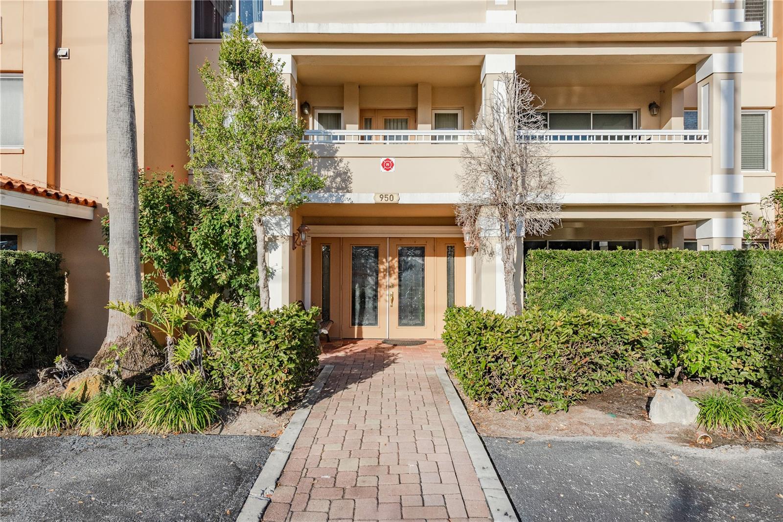 950 Broadway #103, Dunedin