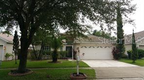 13523 White Elk Loop, Tampa