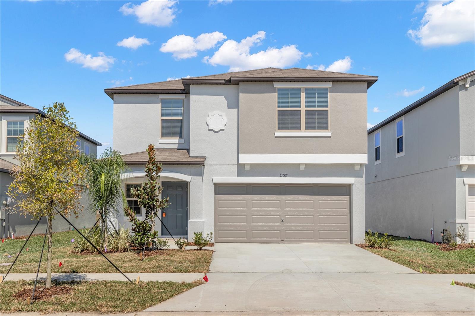31603 Barrel Wave Way, Wesley Chapel