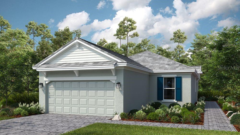 3887 Immacolata Way, Wesley Chapel