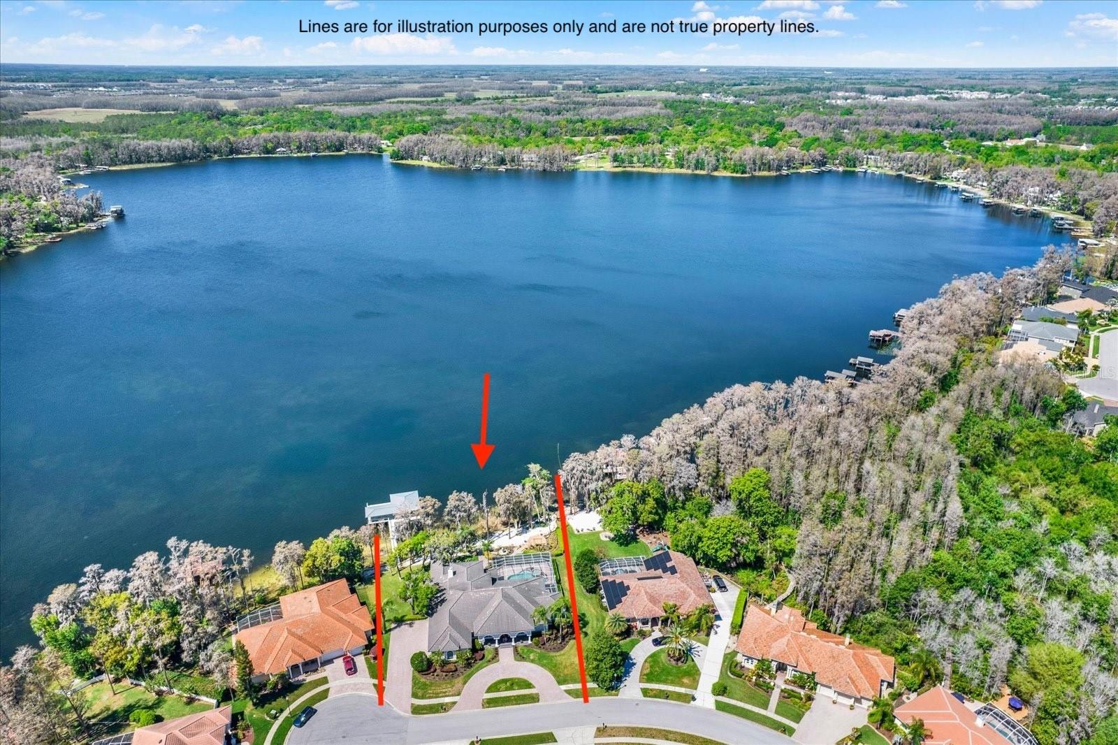 5643 White Ibis Ln, Land O Lakes