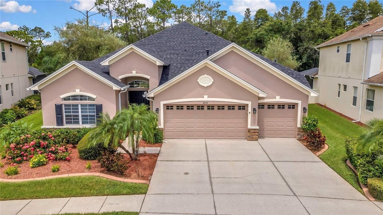 3247 Diamond Falls Cir, Land O Lakes