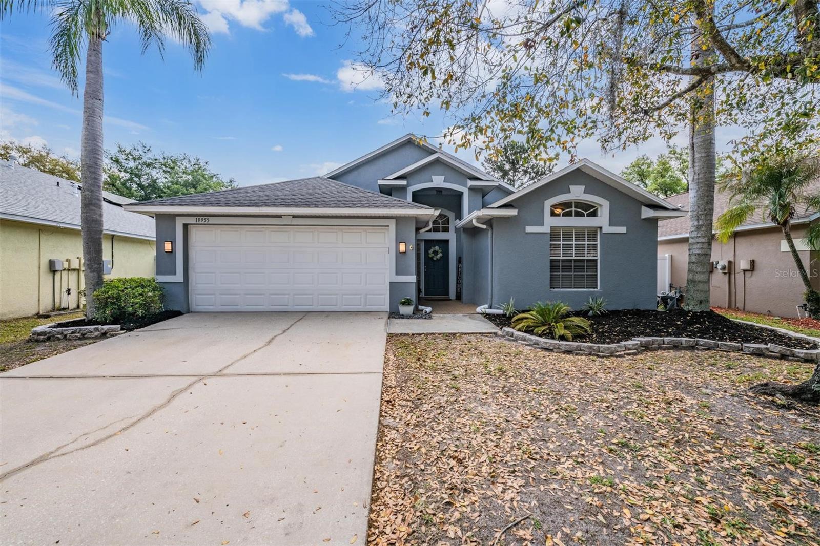 18955 Wood Sage Dr, Tampa