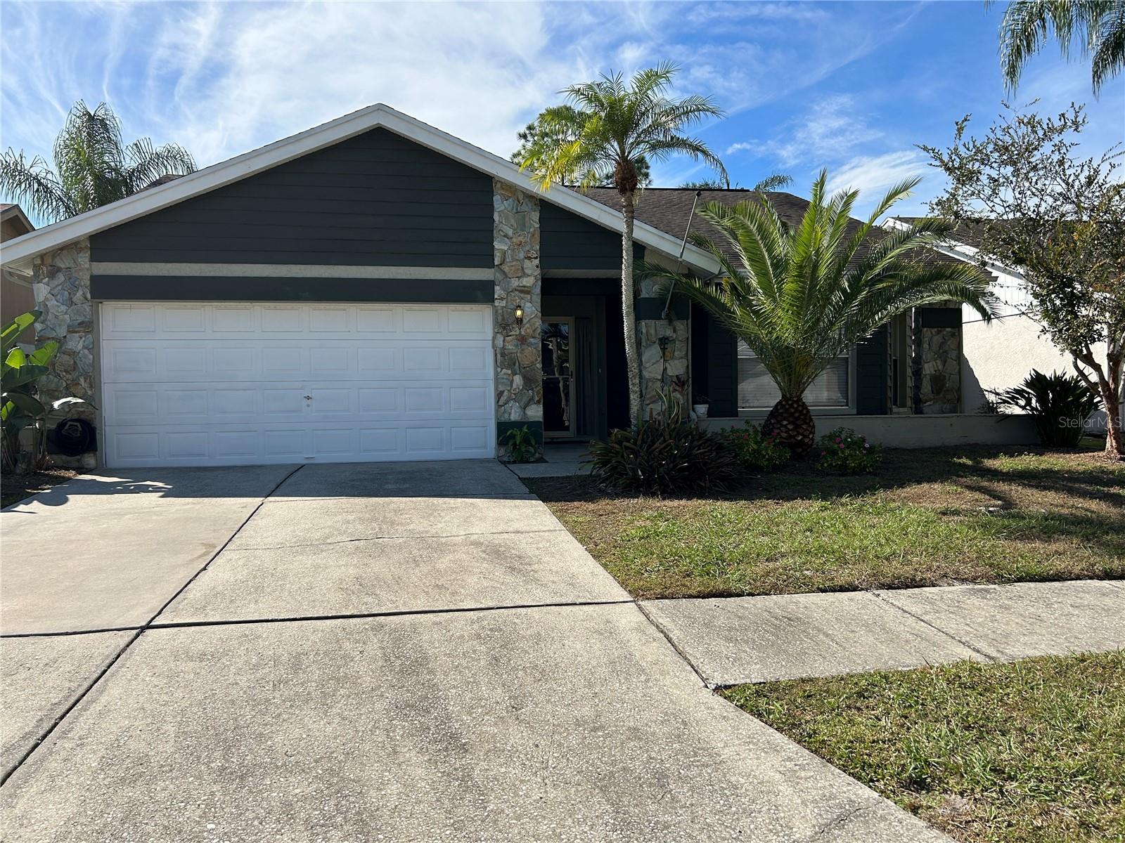 8718 Imperial Ct, Tampa
