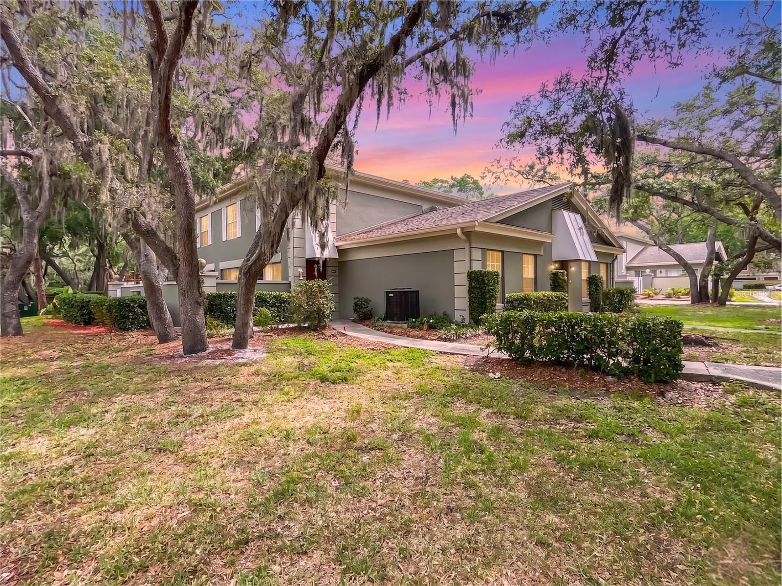 6206 Greenleaf Ln, Tampa