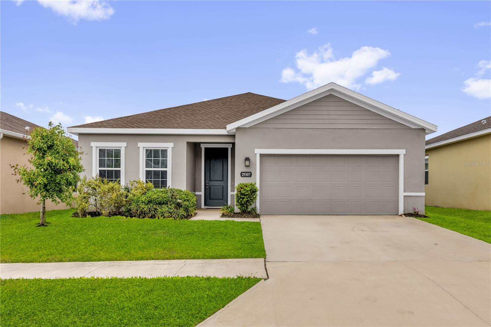 29307 Meadowcroft Ave, Wesley Chapel