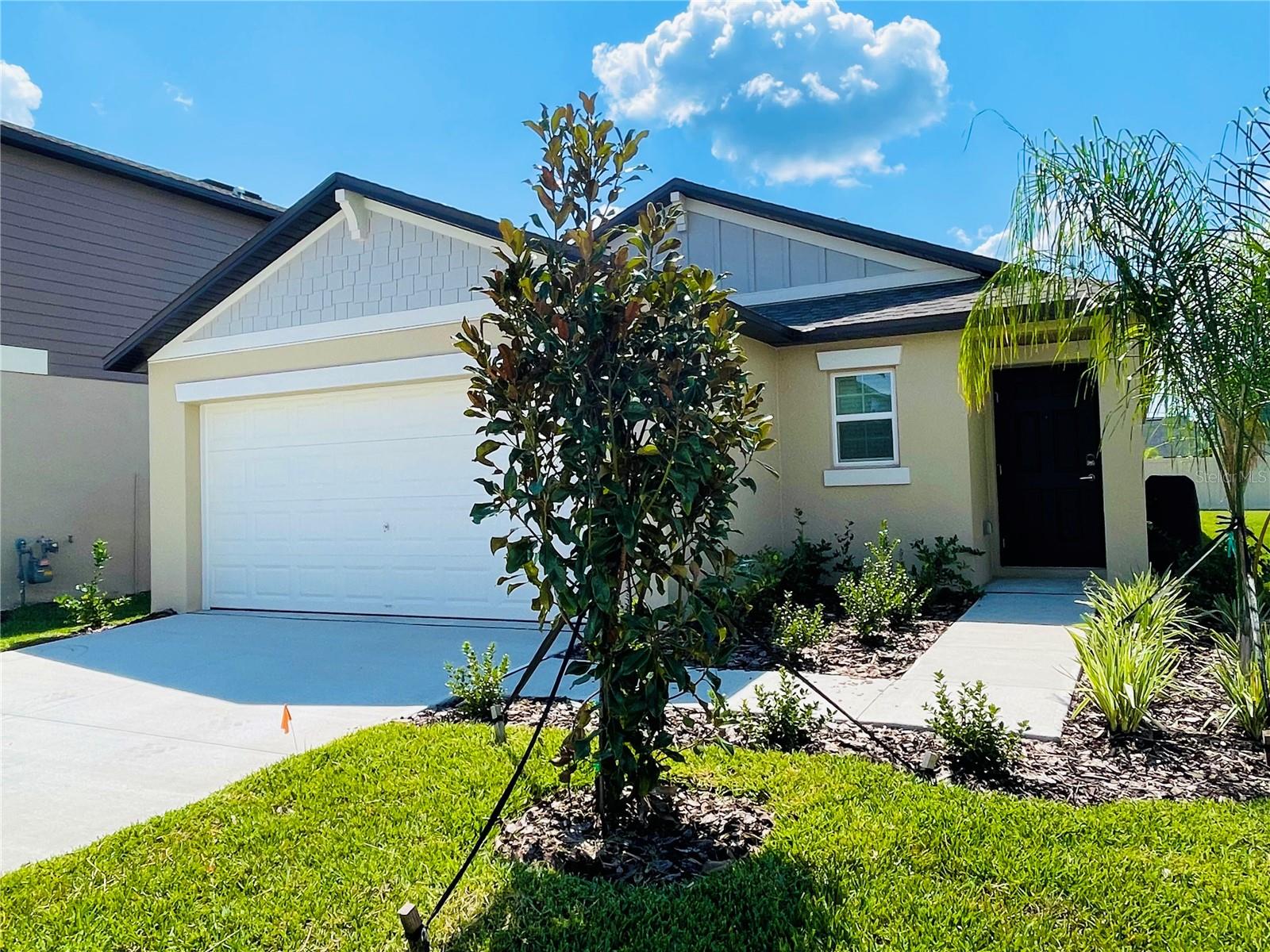 22238 Blazing Star Run, Land O Lakes