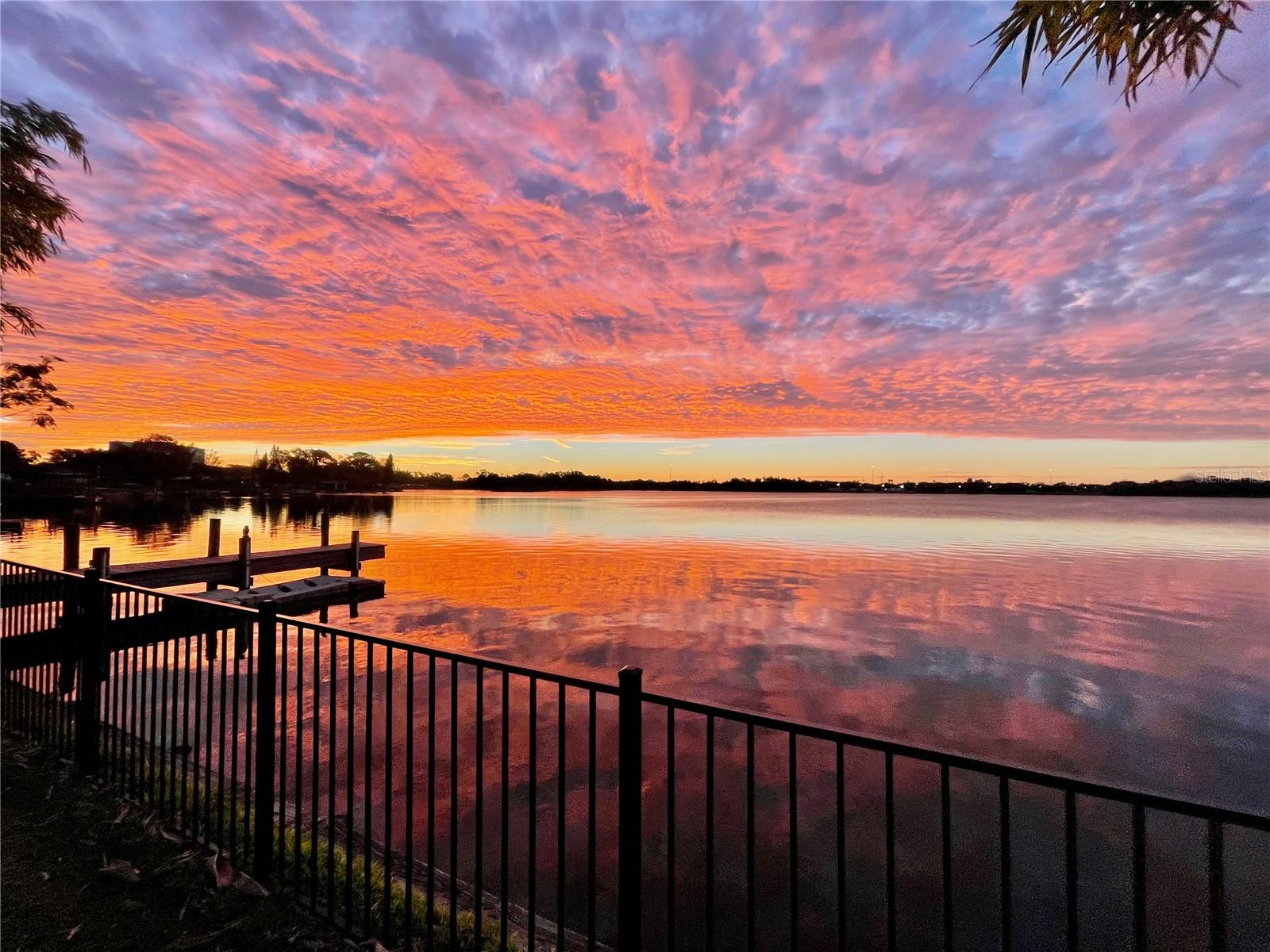 6519 Walton Way, Tampa