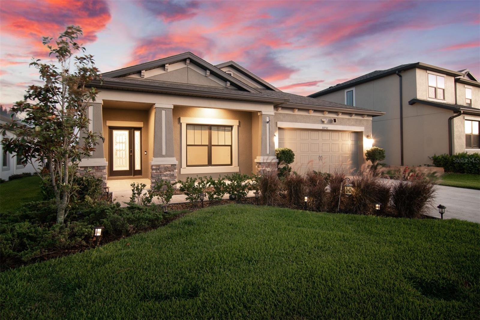 30950 Parrot Reef Ct, Wesley Chapel