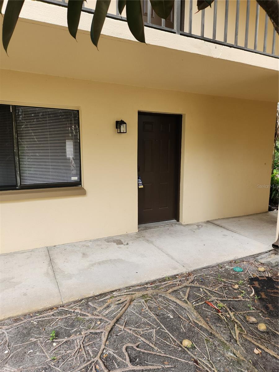 11809 Raintree Lake Ln #b, Tampa