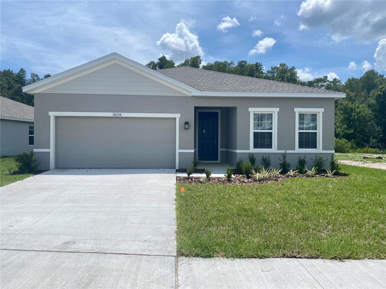 18236 Hunters Meadow Walk, Land O Lakes