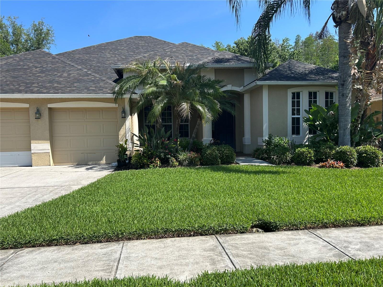 26612 Shoregrass Dr, Wesley Chapel