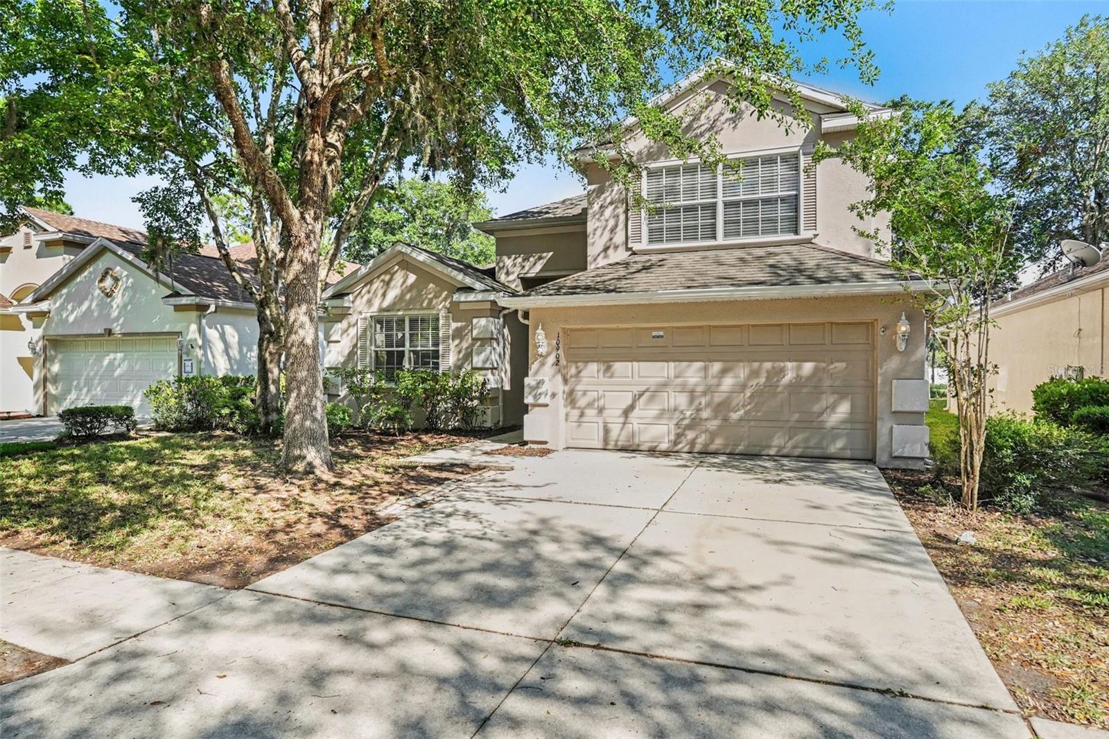 10902 Tree Cactus Loop, Land O Lakes