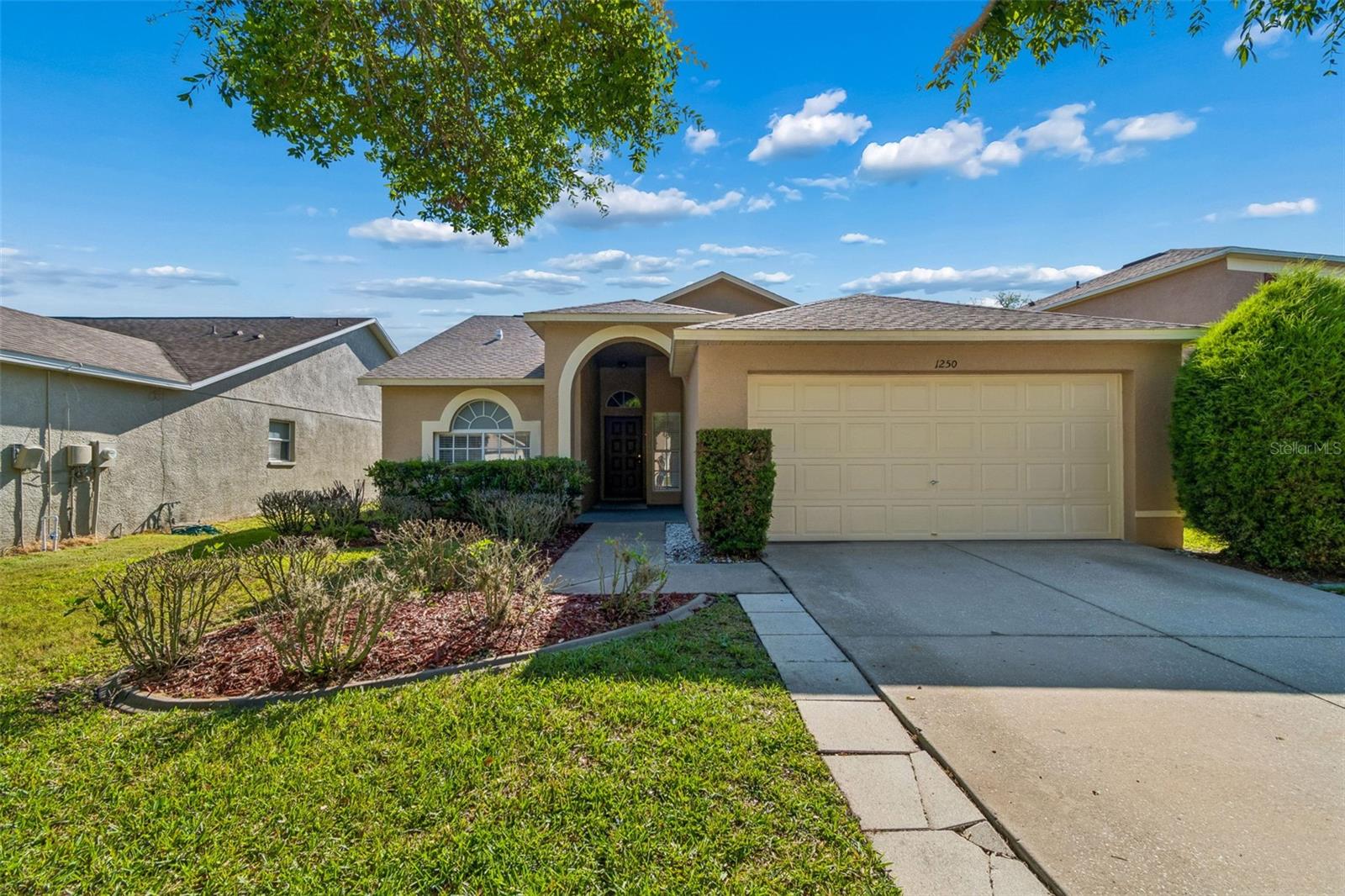 1250 Salt Clay Ct, Wesley Chapel