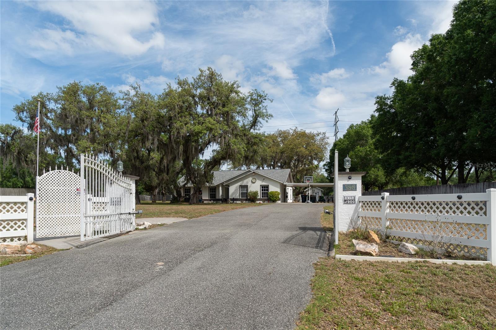 31919 Hedgerow Dr, Wesley Chapel