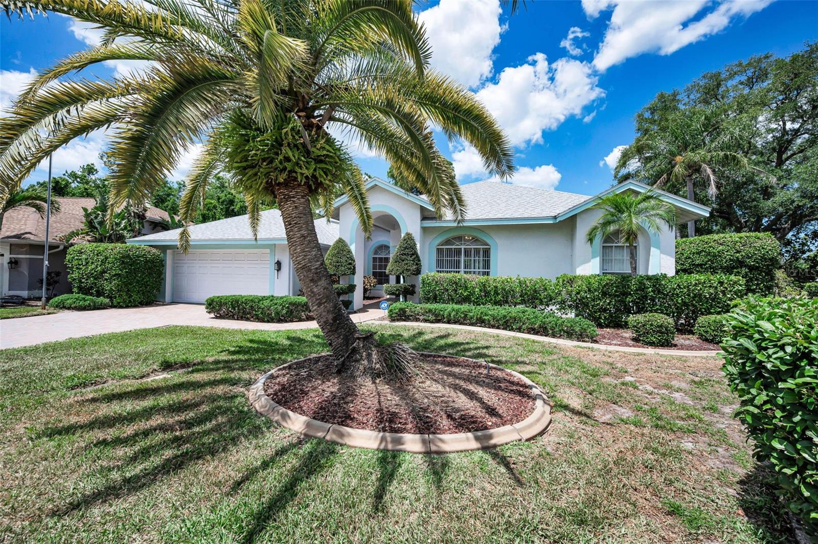 3423 Foxhall Dr, Holiday
